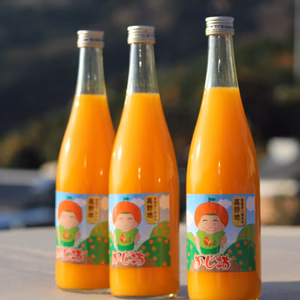 柑橘100％　　ストレートジュース3本飲み比べ！「甘平」「はるみ」「みかん」