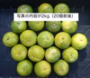 お買い得！【早採りの柚子】自然栽培