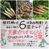 ～12/14ゆるり畑の週替り６菜セット【農薬不使用冷蔵便】