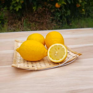 説明読んで❗料理人も使ってる‼️レモン4.5㌔セット