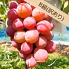 山形の自然で愛情を注ぎ込んだ種無しぶどう『安芸クイーン』B級※9/13頃から〜
