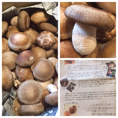 みんなの投稿の画像