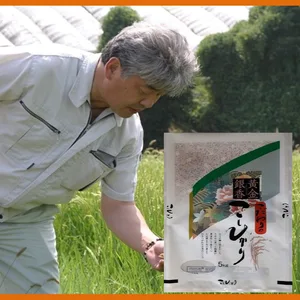 「精米」コシヒカリ　山形県高畠から発送