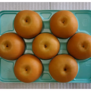 鳥取県産　あきづき【贈り物にも♪】