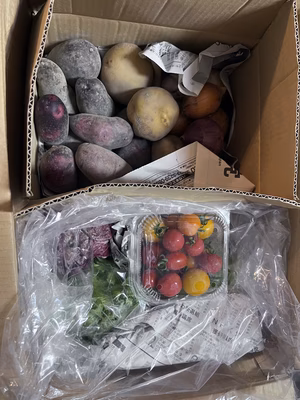 みんなの投稿の画像