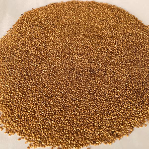 【金ごま】（生・洗いごま）農薬不使用・化学肥料不使用　令和7年　岐阜県産