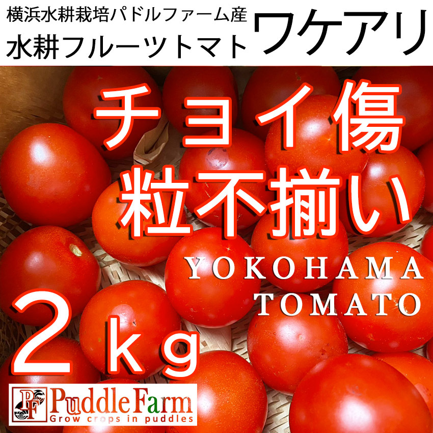 ちょい傷、粒不ぞろい、2.0ｋｇの水耕フルティカをお届け！