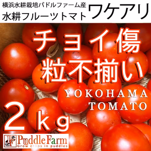 ちょい傷、粒不ぞろい、2.0ｋｇの水耕フルティカをお届け！