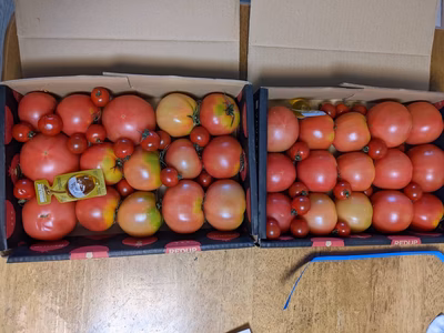 みんなの投稿の画像