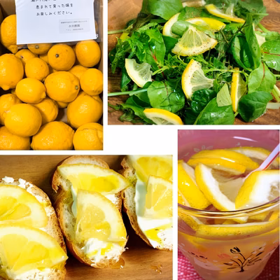 みんなの投稿の画像