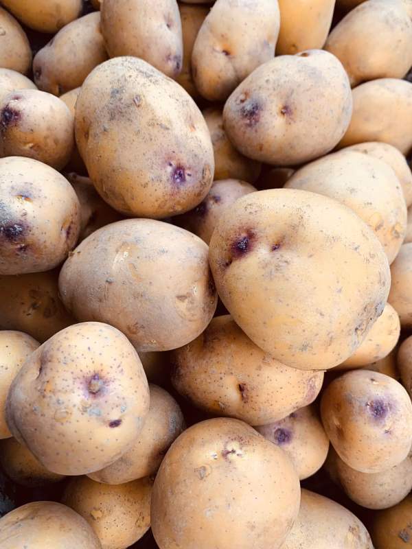 【送料無料‼️】農薬化学肥料不使用❗️　新じゃがインカのめざめ