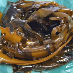 春限定生わかめパック