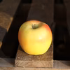 【11月上旬収穫】ぐんま名月 幻と呼ばれた黄色りんご