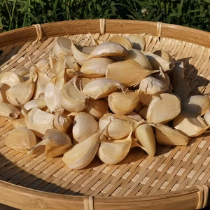 【訳あり品】少し使いたいときなどに最適青森県産にんにく小粒バラ