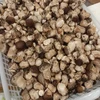 クール便【規格外】菌床椎茸の芽　大きさランダム　農薬不使用　冷凍保存OK
