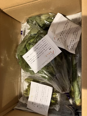 みんなの投稿の画像