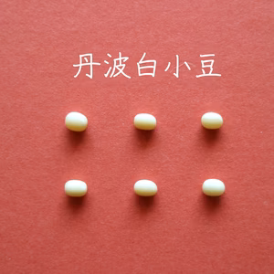 【丹波白小豆　２００g】上品すぎる姿と味・・・純度100％の白餡は絶品です