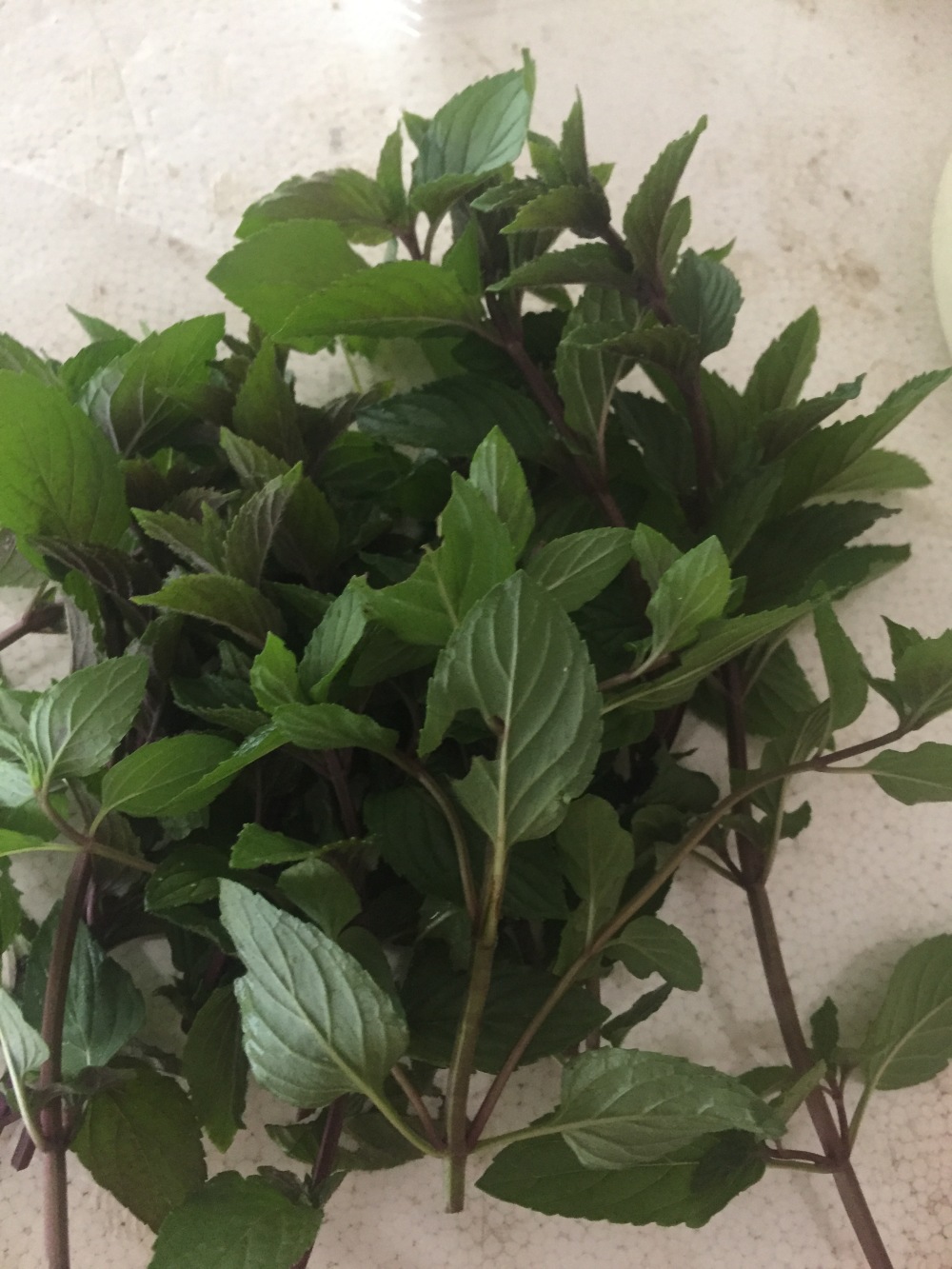 スーっと いい感じのブラックペパーミント 農家漁師から産地直送の通販 ポケットマルシェ