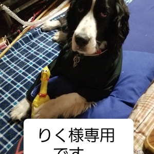 りく様専用です。