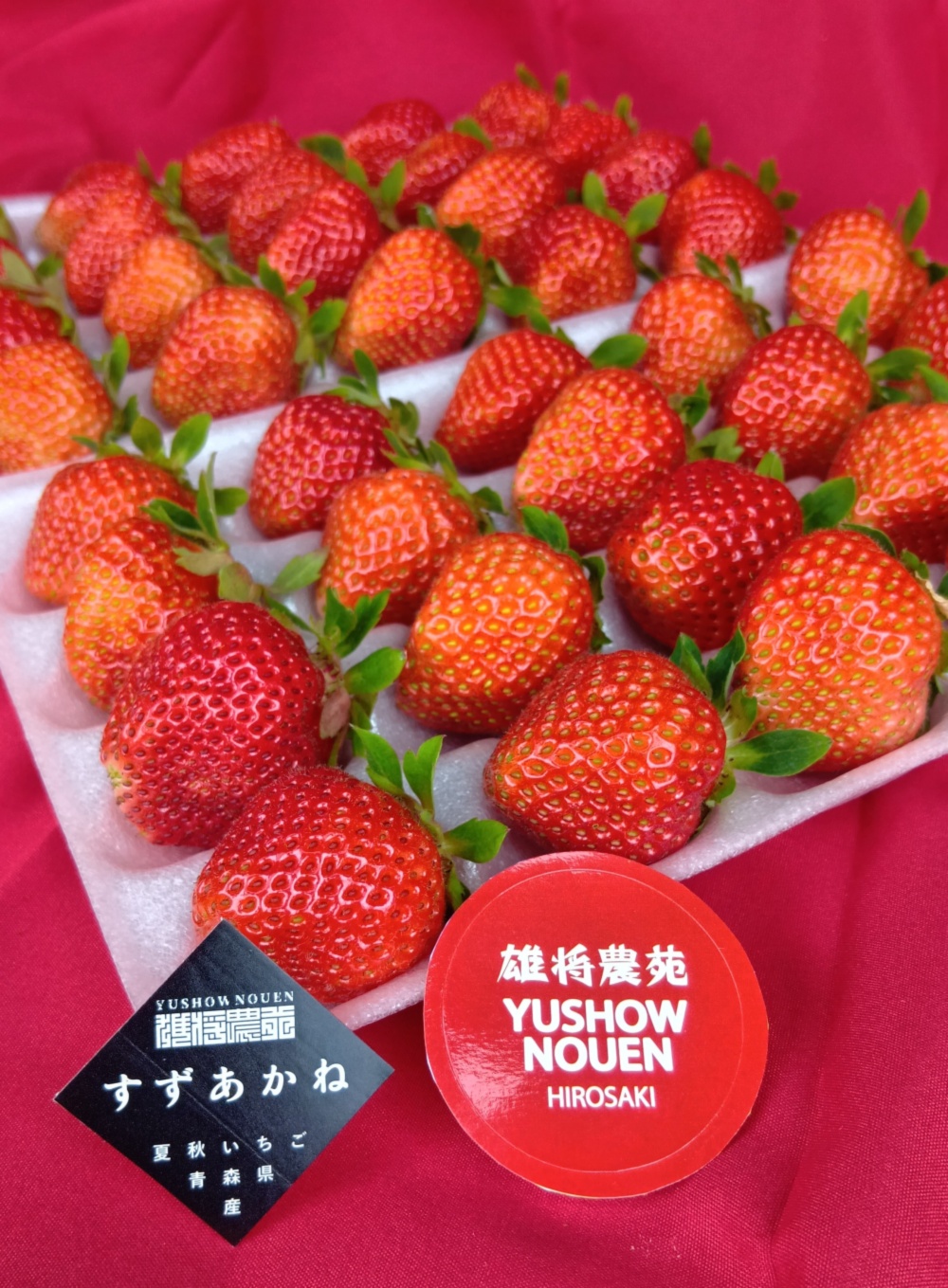 これからが旬！20玉2パック！夏秋いちご 青森県産 すずあかね 苺