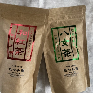 【ポスト投函】八女茶お試しティーバッグ2種セット