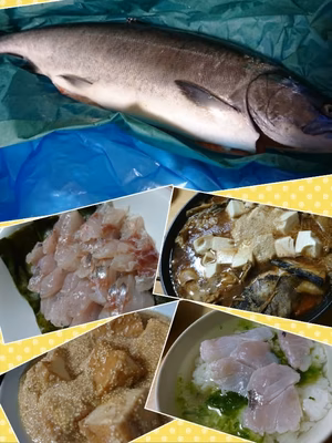 みんなの投稿の画像