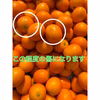 ☆訳あり3L 1kg皮ごとまるかじり完熟きんかん