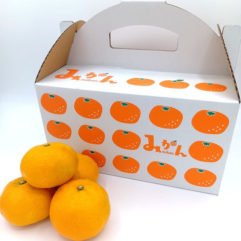 秋が旬！『早みかん』【小玉サイズ】｜みかんの商品詳細｜ポケット