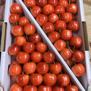 10箱限定‼️紅秀峰1キロ鏡詰め