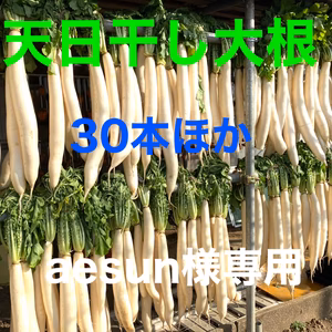 【aesun様専用】天日干し大根(30本＋付属漬物材料1式)