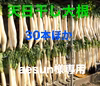 【aesun様専用】天日干し大根(30本＋付属漬物材料1式)