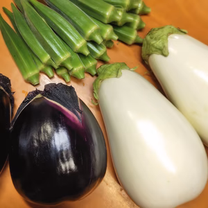 香川の伝統野菜『三豊なす』入り！とろける茄子＆オクラのセット