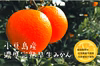 【化学農薬不使用】濃厚❗️小豆島産早生みかん