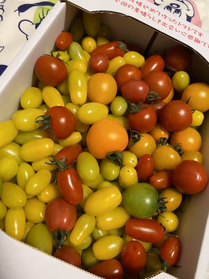 みんなの投稿の画像