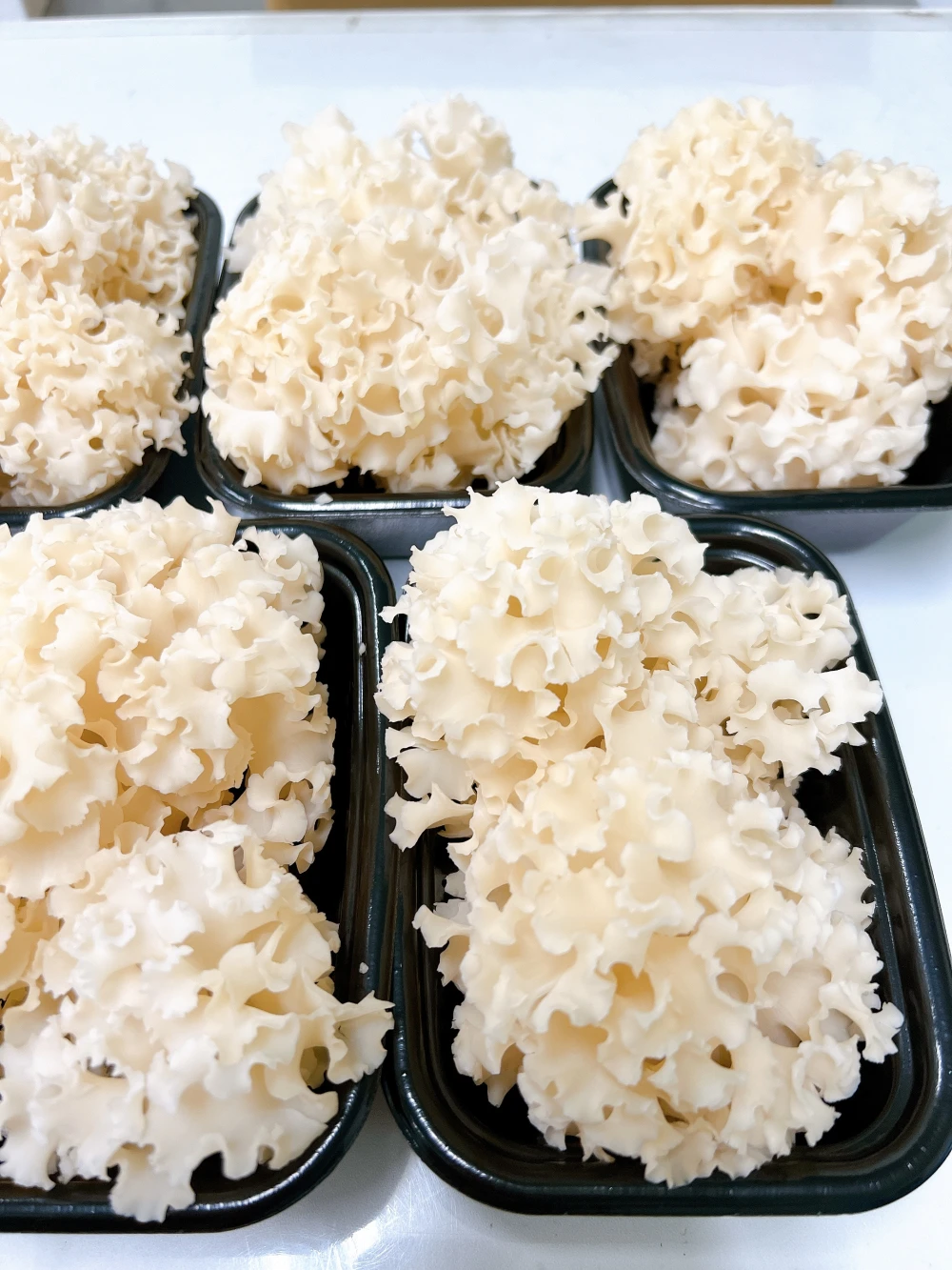 最大72％オフ！ はなびらたけ加工食品 sushitai.com.mx