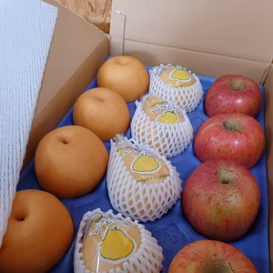 限⑥箱　冬の味覚セット１　レクチェ・新興・フジ