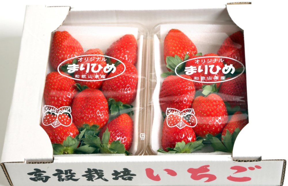いちご(まりひめ) 大粒 デラックスサイズ 朝採り｜いちごの商品詳細