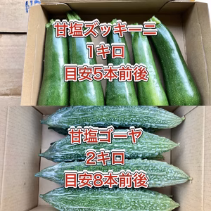 【鹿児島産】甘塩ゴーヤ2キロ・甘塩ズッキーニ1キロ^_^