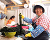 三陸最高級！外洋塩蔵わかめと茎わかめ