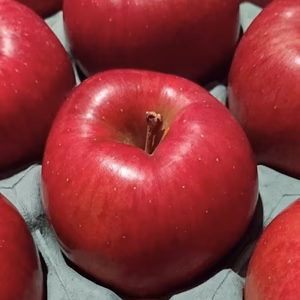 ☆あいかの香り☆3kg箱　優しい甘さ♪こちらも長野県産まれ 