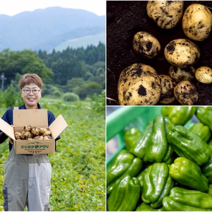 【予約】【但馬野菜セット】ピーマンとじゃがいも(きたあかり)セット！