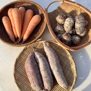 里芋&サツマイモ紅はるか&ニンジン   農薬・化学肥料”不使用“