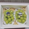 シャインマスカット1.2kg（岡山県産・種なし）