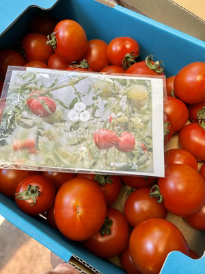 みんなの投稿の画像