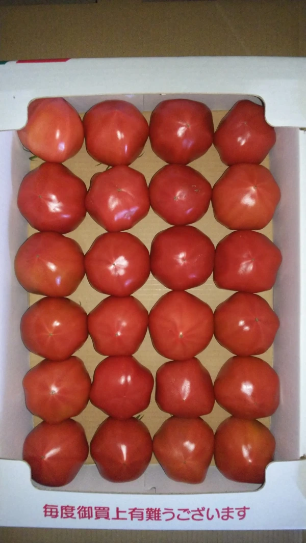 緊急、ＪＡ直販店等の休店に伴うＢ品トマトの出品です。
