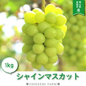 S-1 花笑み農園　岡山の『シャインマスカット』約1kg（2房）9月中旬～