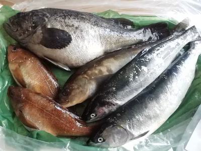 みんなの投稿の画像