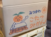 こたつみかん　“興津早生”　５㌔（箱込・わけあり品）