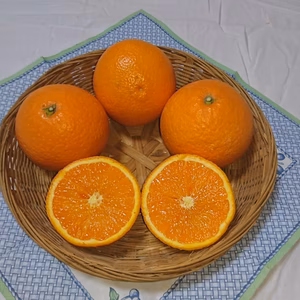 まるで食べるオレンジジュース  清見(きよみ) 