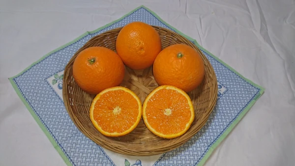 まるで食べるオレンジジュース  清見(きよみ) １２個